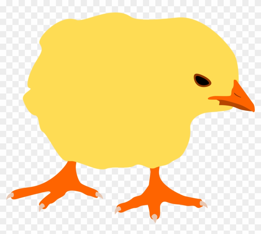 Big Image - Chicken #1699006