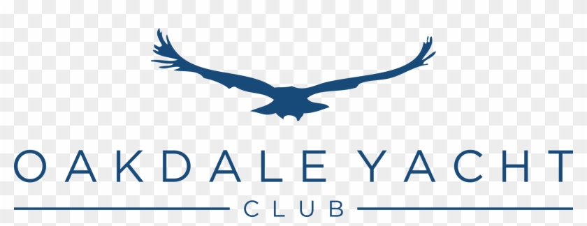 Oyc Tiki Bar - Oyc Tiki Bar #1699016