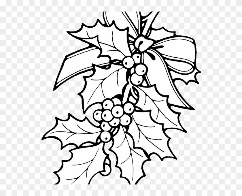 Christmas Coloring Pages Holly Printable Christmas - Christmas Flower Coloring Pages #1699084