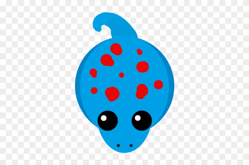 Tokay Gecko Aka The Dup Dup - Tokay Gecko Aka The Dup Dup #1699155