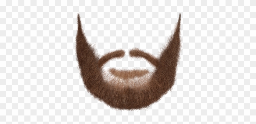 Beard Booth By Dollar Beard Club By Pixel Bay Studios - Realistic Beard Mustache Png #1699296