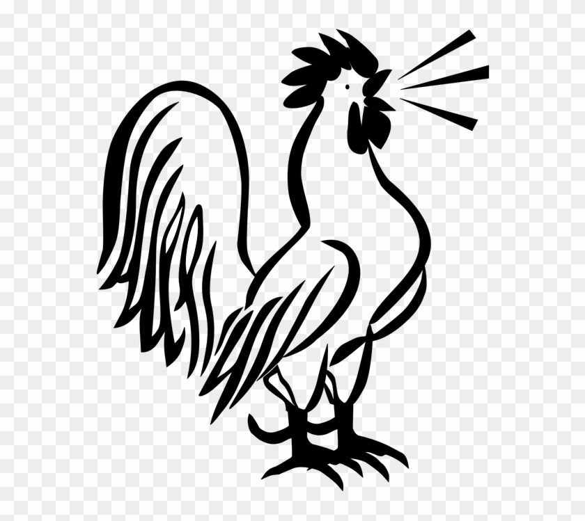 Rooster, Crow, Morning, Proud, Loud, White - Rooster Art Black And White #1699630