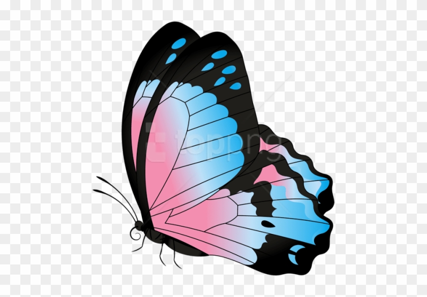 Free Png Download Butterfly Blue Pink Transparent Clipart - Pink And Blue Butterfly Png #1699900