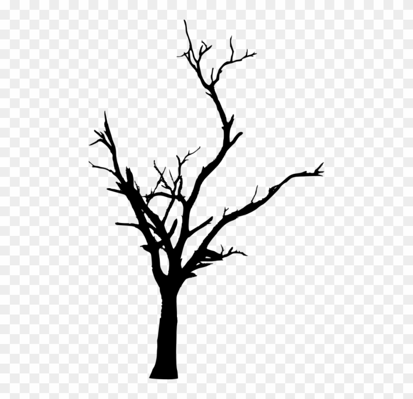 Dead Tree Clipart Thin - Transparent Dead Tree Silhouette #1700033