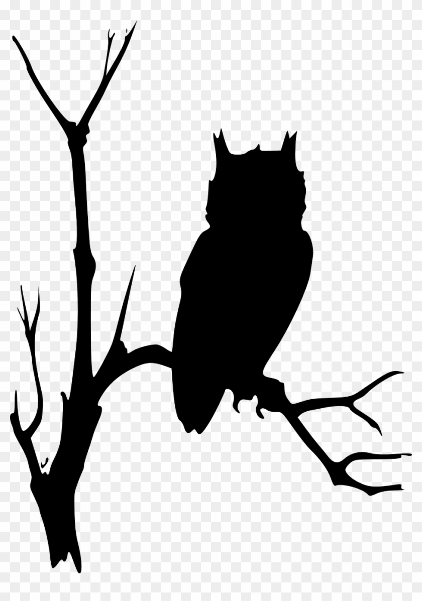 Owl Silhouette On Branch #1700190