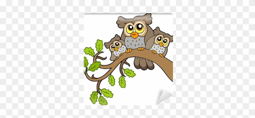 Cute Owls #1700191