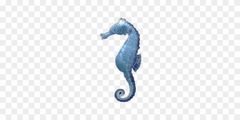 Blue Seahorse Png #1700236