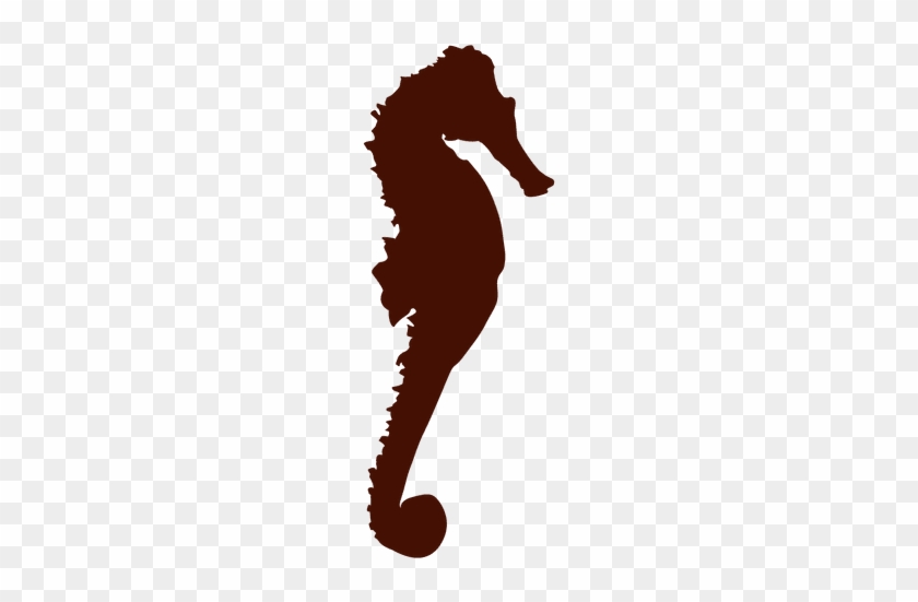 Seahorse Silhouette Transparent Png Svg Vector - Dibujo Silueta Caballito De Mar #1700245