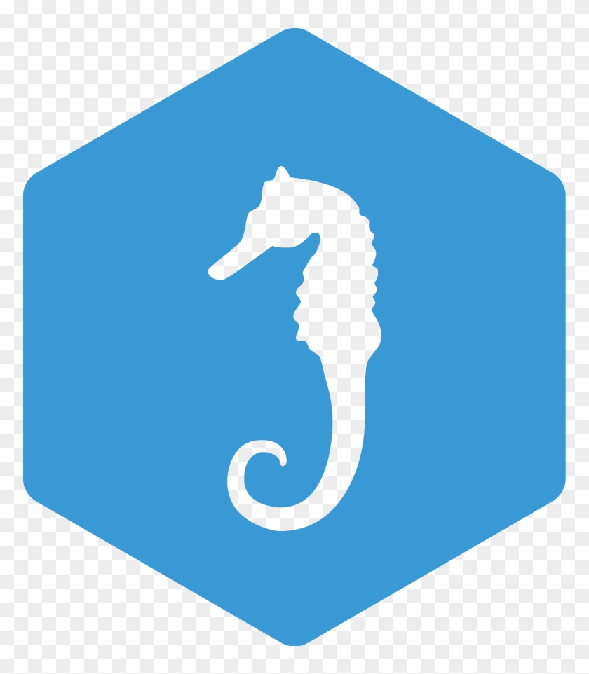 07-seahorse - Northern Seahorse #1700250