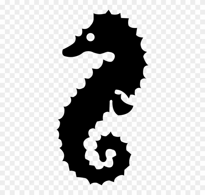 Seahorse #1700260