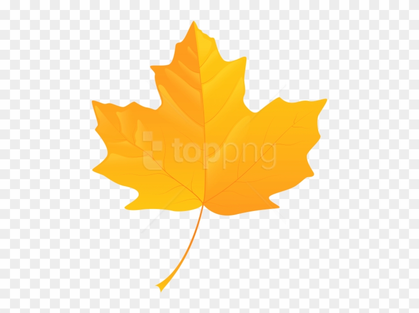 Free Png Download Yellow Leaf Clipart Png Photo Png - Yellow Fall Leaves Clip Art #1700307