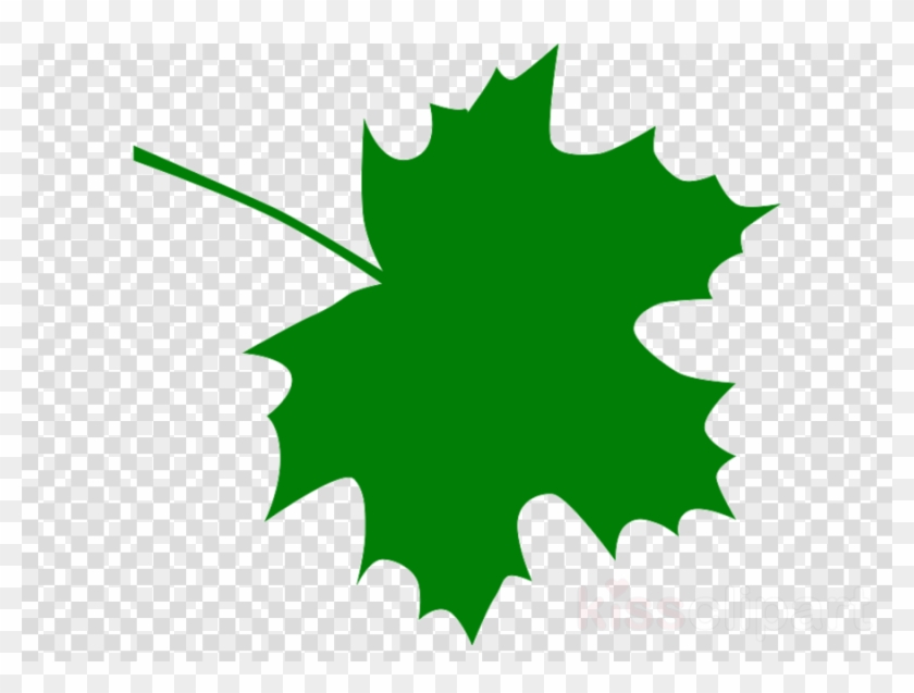 Green Maple Leaf Clipart Maple Leaf Clip Art - France Map No Background #1700318
