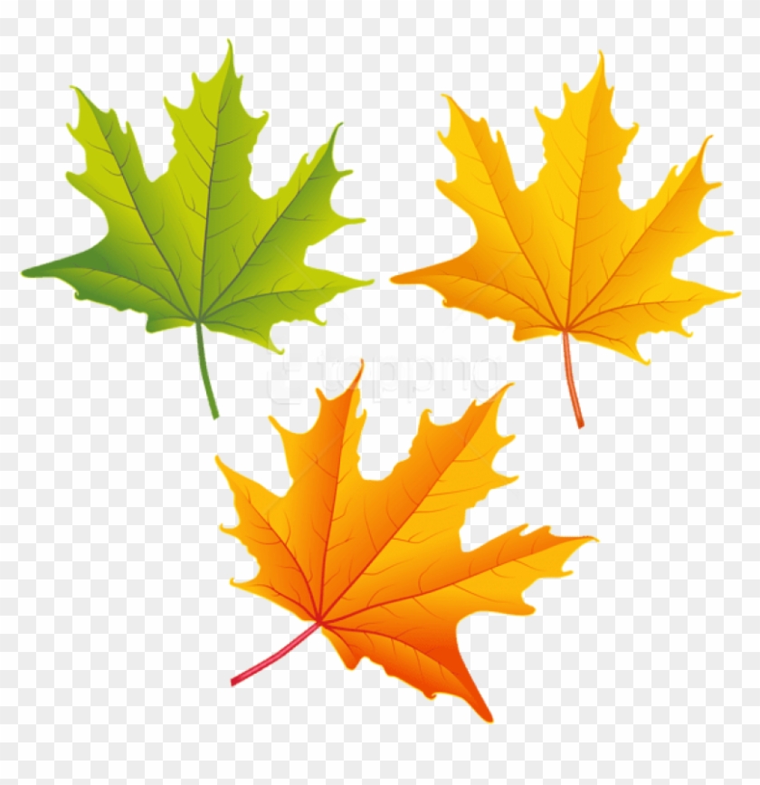 Free Png Download Set Of Autumn Leaves Clipart Png - Autumn Leaves Clipart Png #1700322