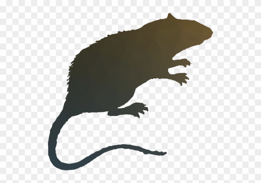Rat Clipart Rat Wild Boar Duck - Rat #1700584