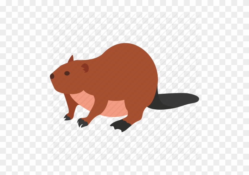 Fur Clipart Beaver Pelt - Transparent Beaver Icon #1701134