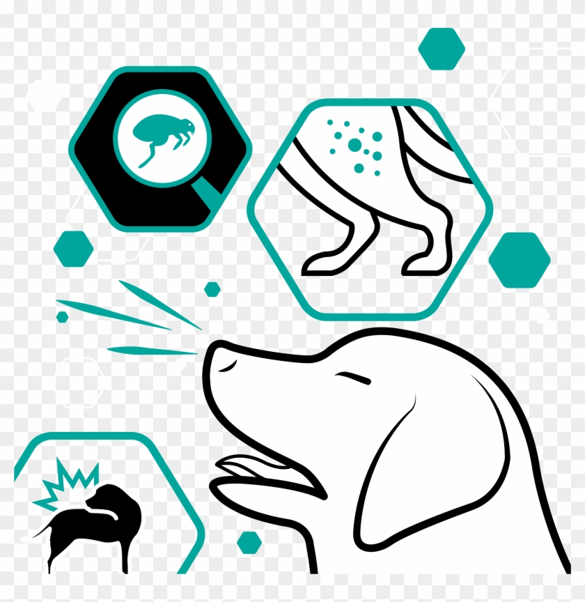 Know Your Facts About Allergies - Know Your Facts About Allergies #1701195