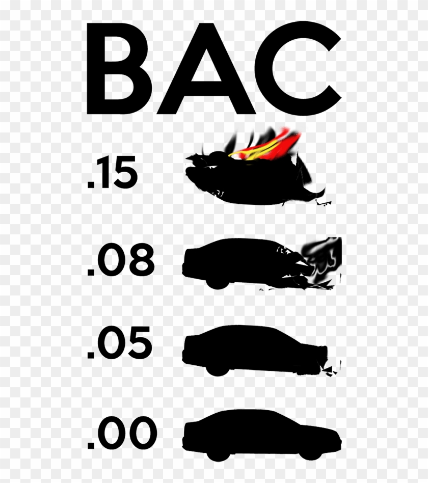 An Introduction To The Legal Limit Of Blood Alcohol - Blood Alcohol Concentration .05 #1701288