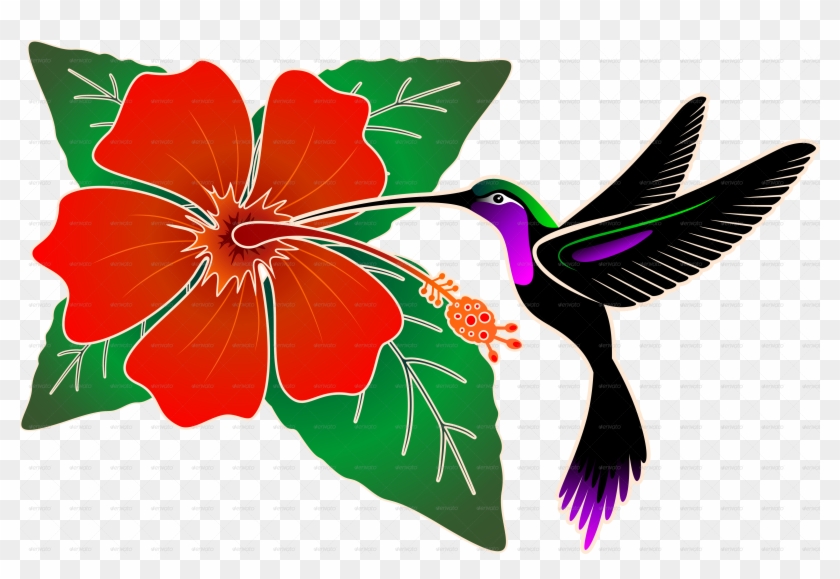 Drawn Hibiscus Hummingbird Flower - Hawaiian Hibiscus #1701467
