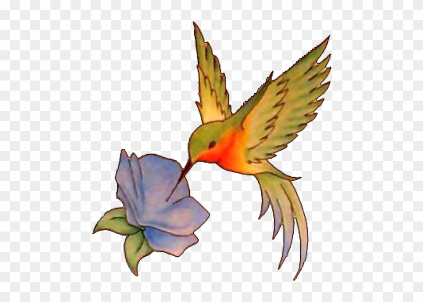 Hummingbird Tattoos Designs Body Art Pictures Images - Hummingbird Tattoo Designs #1701475