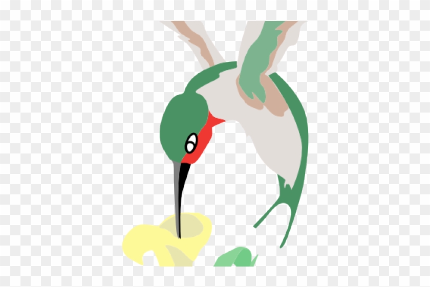 Hummingbird Clipart Hummingbird Flower - Hummingbird Clipart Hummingbird Flower #1701476