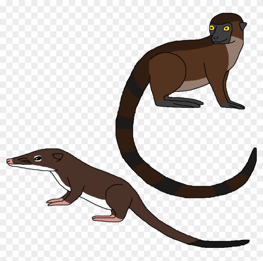 Placental Origins By Wildandnaturefan - Otter #1701790