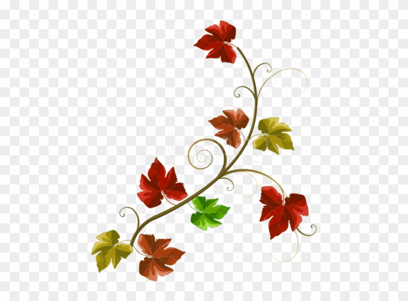 Free Png Download Autumn Leaves Decoration Clipart - Fall Branch Clip Art #1701889