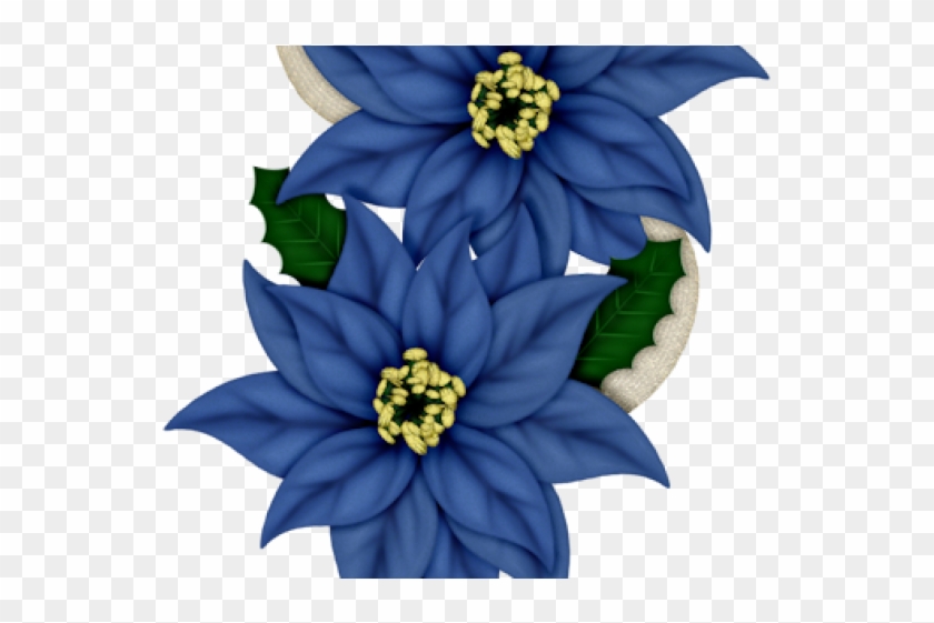 Poinsettia Clipart Blue - Flores De Navidad #1701894