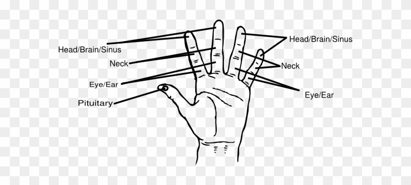 Hand Reflexology Clip Art - Five Finger Classroom Rules #1702002