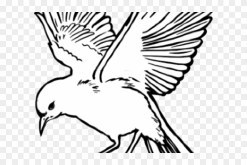 Pigeon Clipart Burung - Flying Bird Line Drawing #1702062