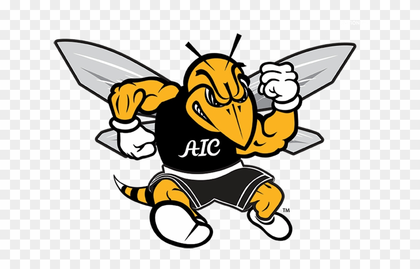 American International College Adds Women's Triathlon - Aic Yellow Jackets Logo #1702098