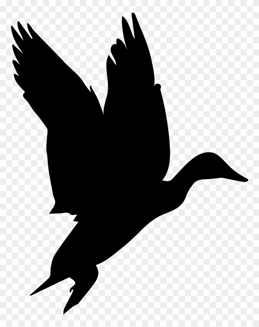 Transparent Stock Waterfowl Shape Svg Png Icon Free - Black Birds Gif No Background #1702660