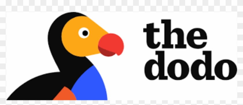 Recent Accomplishments - Recent Accomplishments #1702667