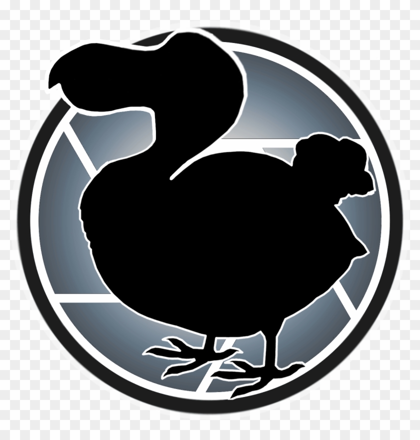 Duck #1702686