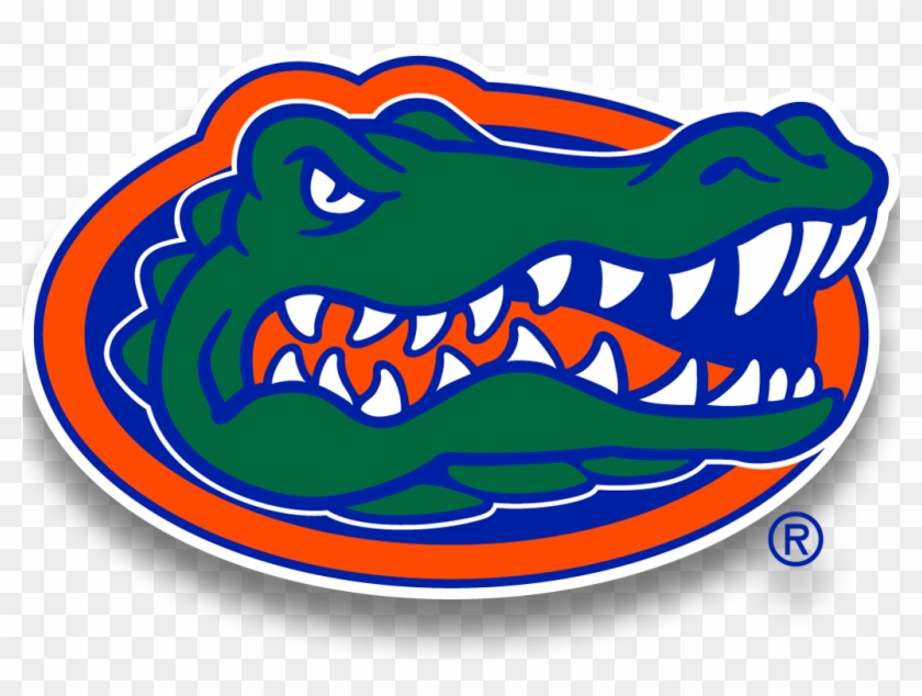 HD florida gators wallpapers  Peakpx