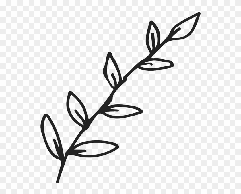 Leaf Branch Outline Png #1702919