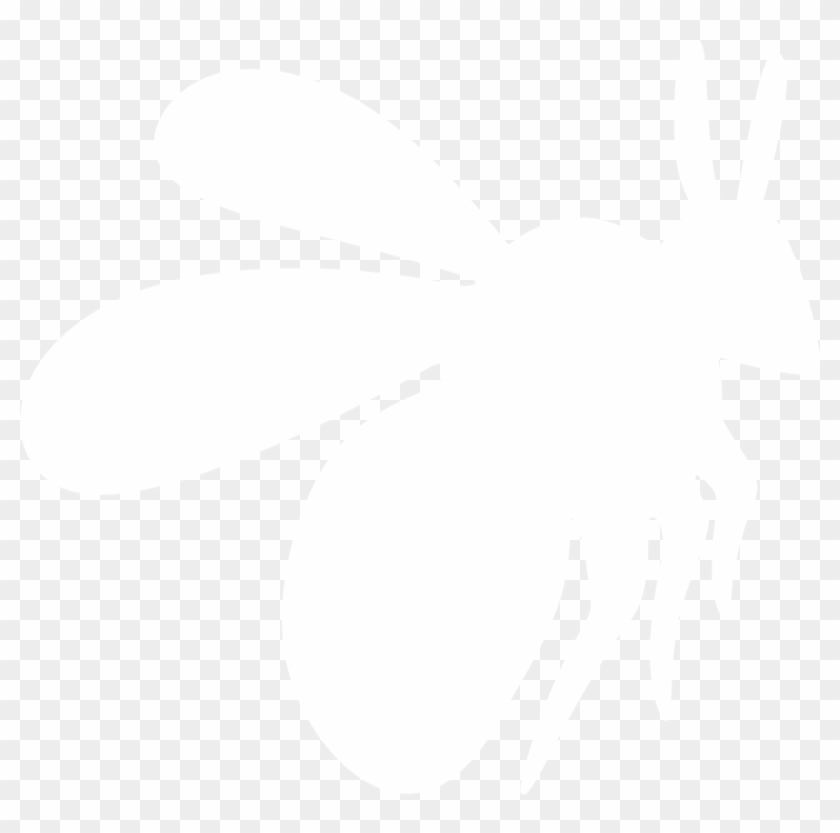Clip Art At Getdrawings Com Free For Ⓒ - Bee White Png #1703039