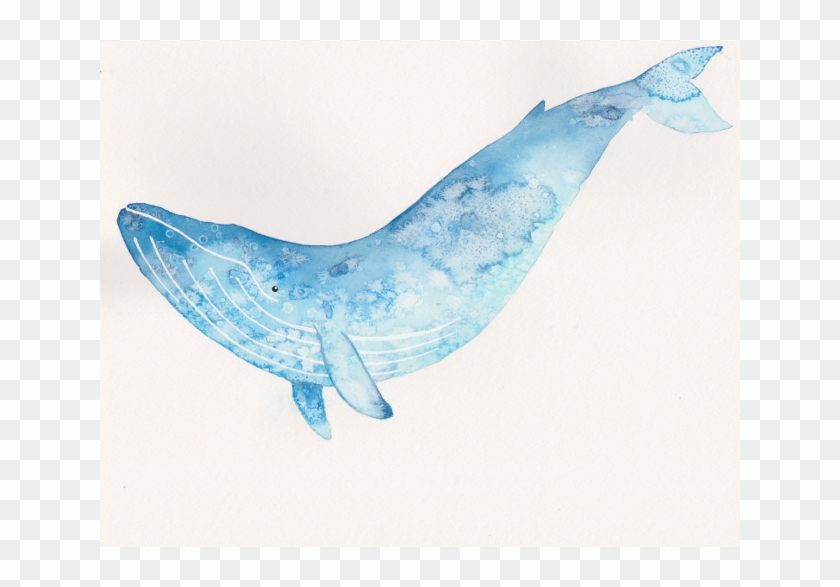 Blue Whale Art - Watercolor Blue Whale #1704061