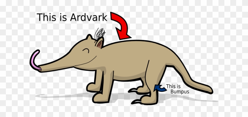 320 × 159 Pixels - Aardvark Cartoon Png #1704095