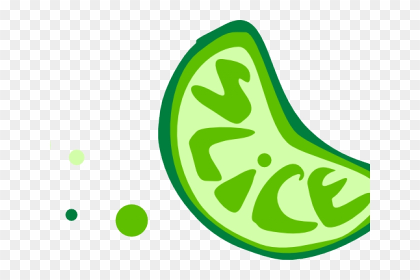 Lime Clipart Sliced - Lime Clipart Sliced #1704356