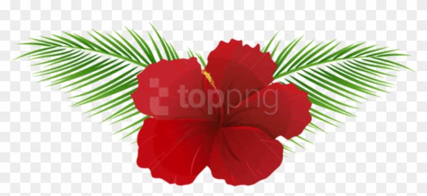 Free Png Download Exotic Flower Transparent Png Images - Flowers Hd Png #1704372