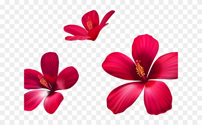 Exotic Clipart Australian Flower - Flowers #1704378