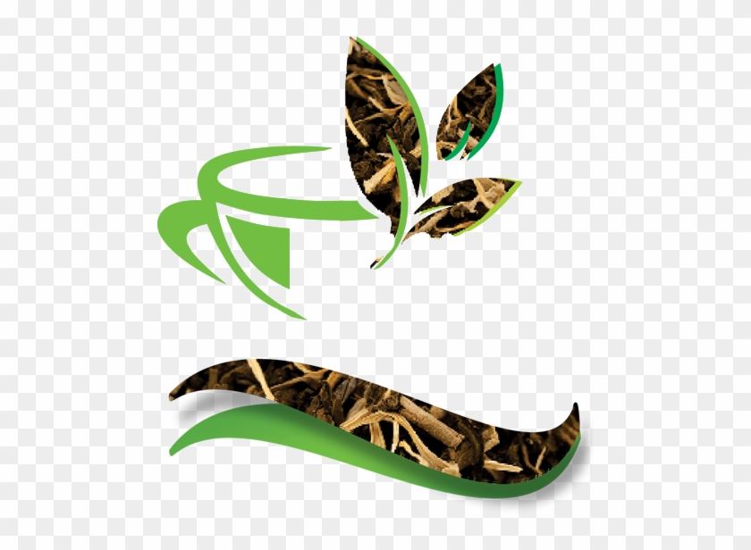 Skateboarding #1704781