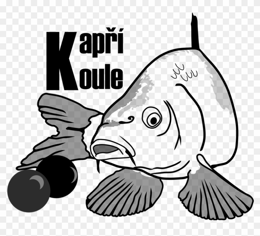 Carp Logo By Pixeresque - Bony-fish #1705022