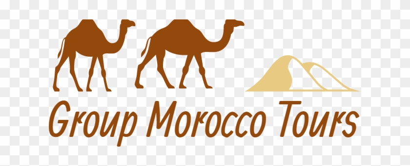 Information - Arabian Camel #1705284