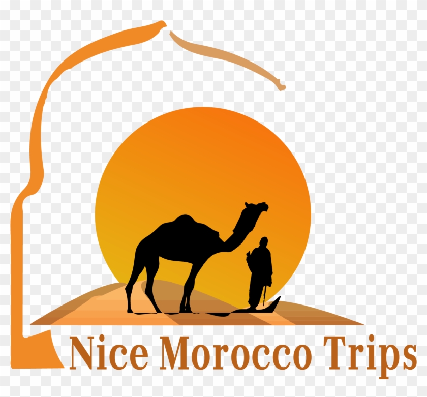 Submit Your Newsletter - Arabian Camel #1705290