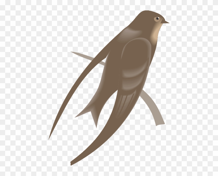 How To Set Use Martin Svg Vector - How To Set Use Martin Svg Vector #1705623