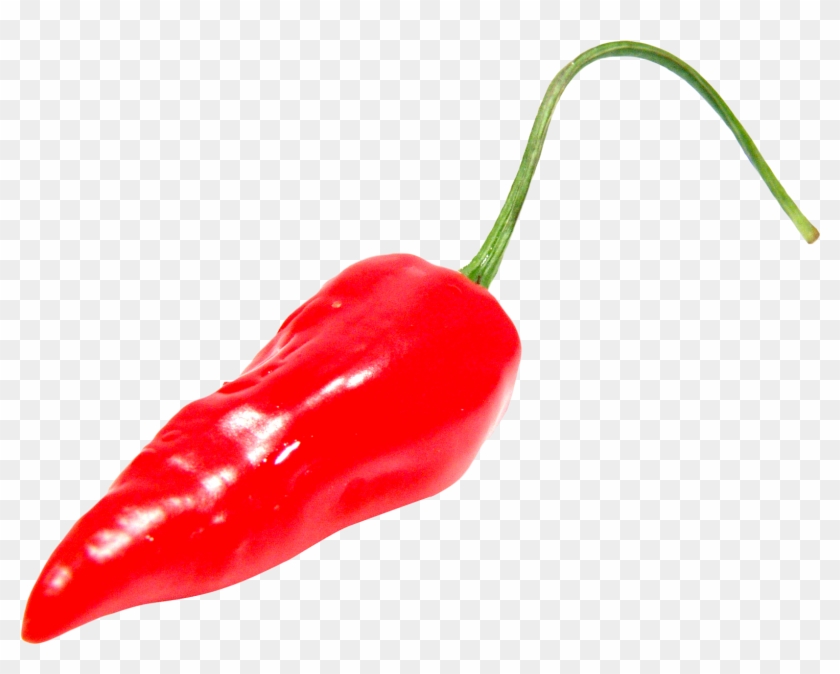 Chili Pepper Transparent - Red Hot Pepper Png #1705937