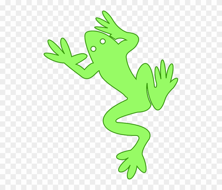Firefly Stock Vectors And Illustrations - Frog #1706019