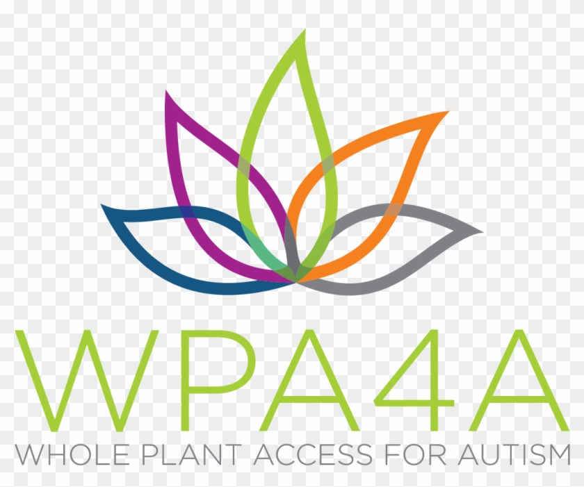 User Email * - Wpa4a #1706049