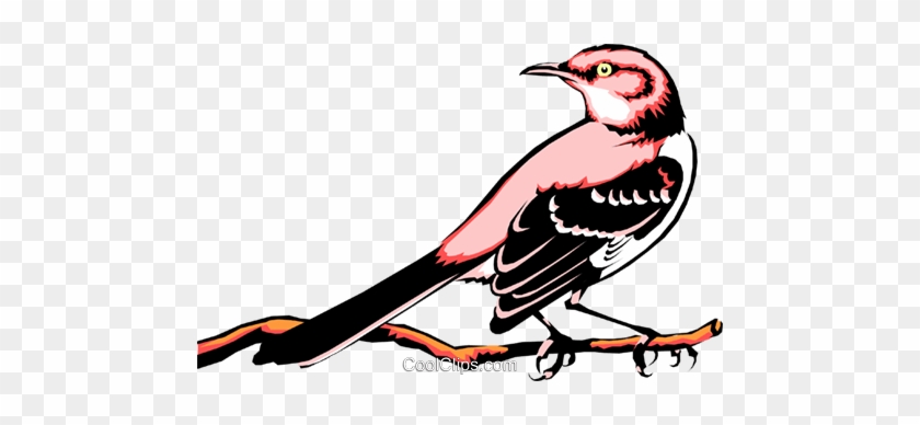 Mocking Bird Royalty Free Vector Clip Art Illustration - Pink Black And White Bird #1706355